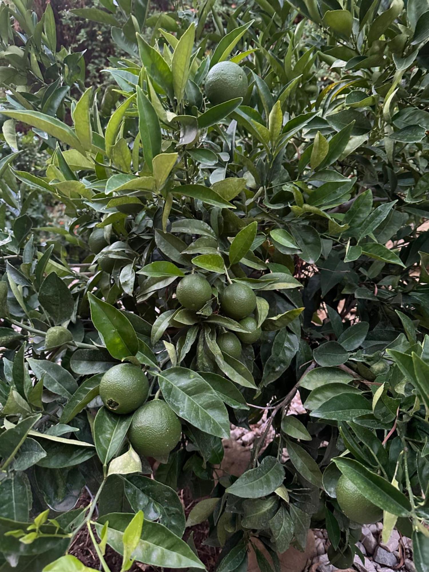 Benahavís Los Arqueros Las Jacarandas מראה חיצוני תמונה