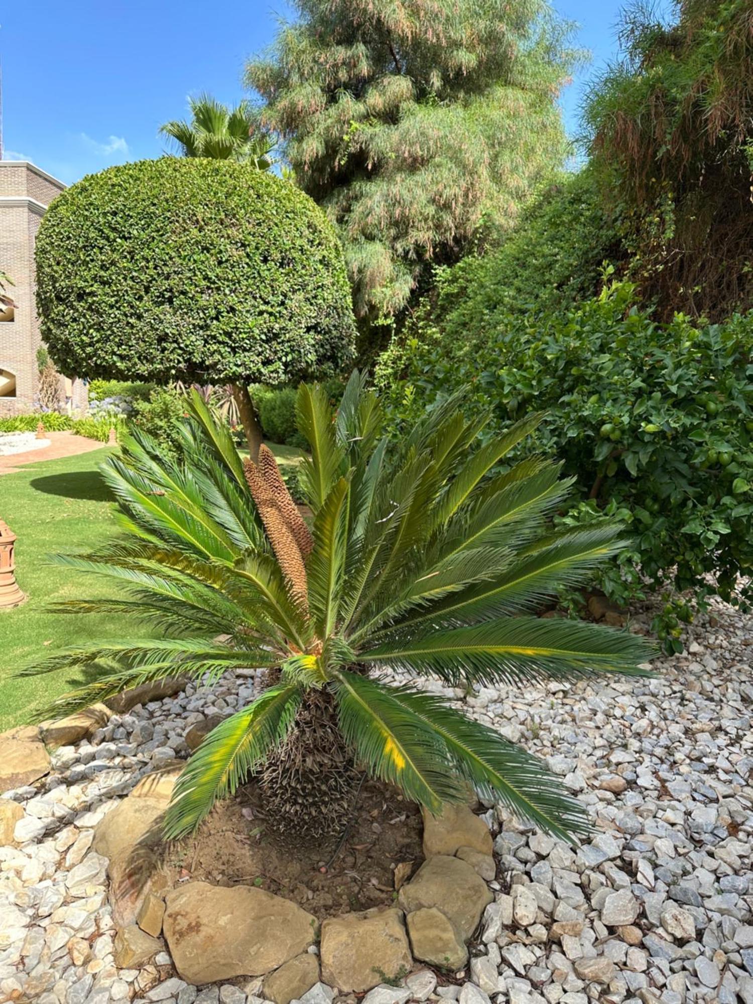 Benahavís Los Arqueros Las Jacarandas מראה חיצוני תמונה